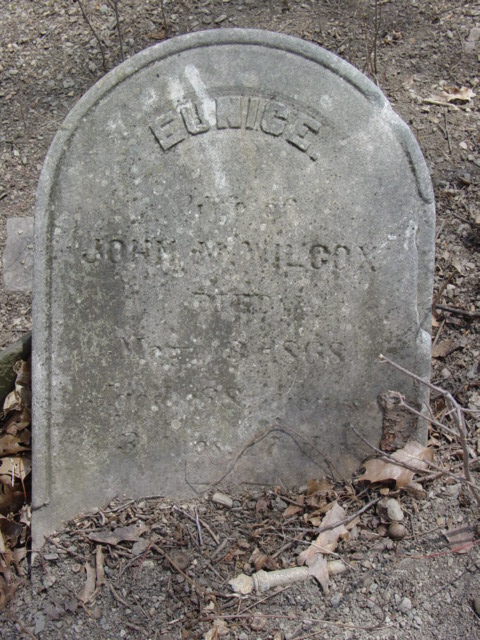 photo of Eunice Wilcox stone, Quaker Church Cemetery